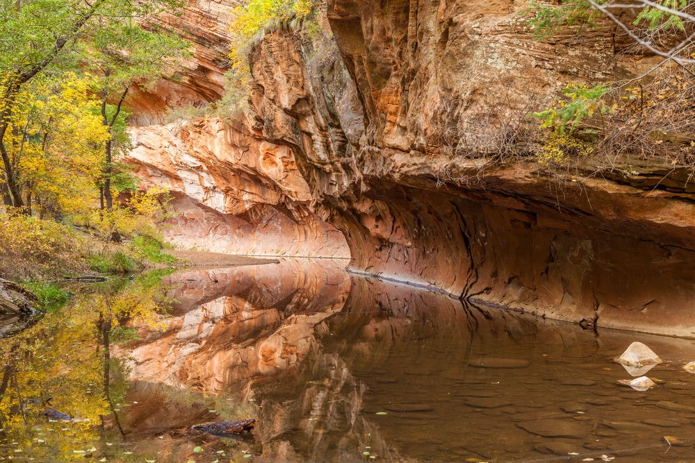 The Scenic West Fork Oak Creek Canyon Trail is the Best fall Hike in Sedona